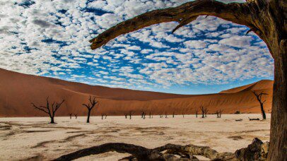 Breathtaking view of the Deadvlei in Namibia with its iconic dead camelthorn trees against the backdrop of towering sand dunes and a dramatic sky, highlighting the beauty of a 4x4 vehicle hire adventure in Namibia.