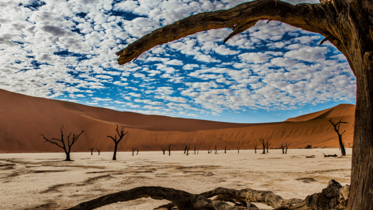 Breathtaking view of the Deadvlei in Namibia with its iconic dead camelthorn trees against the backdrop of towering sand dunes and a dramatic sky, highlighting the beauty of a 4x4 vehicle hire adventure in Namibia.