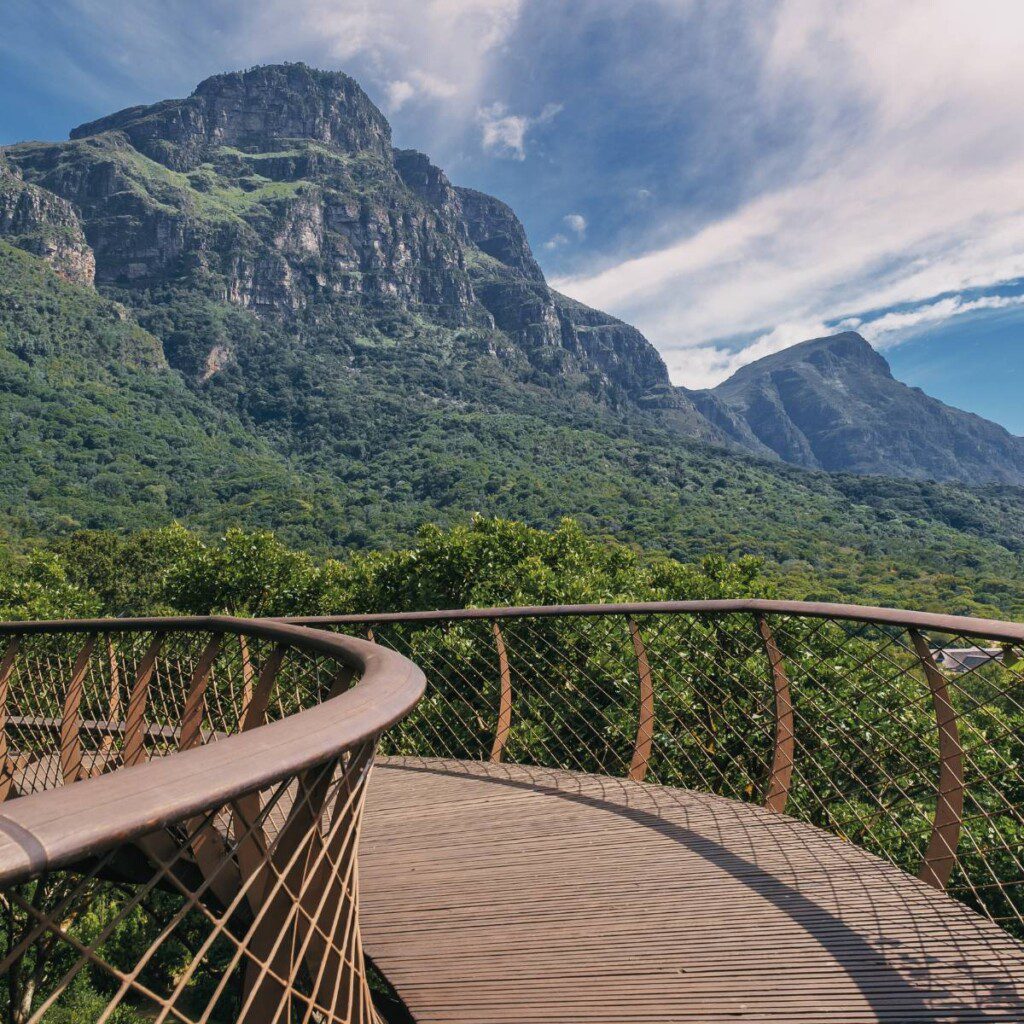 Kirstenbosch Gardens with a view of the lush greenery and mountainous backdrop in South Africa.