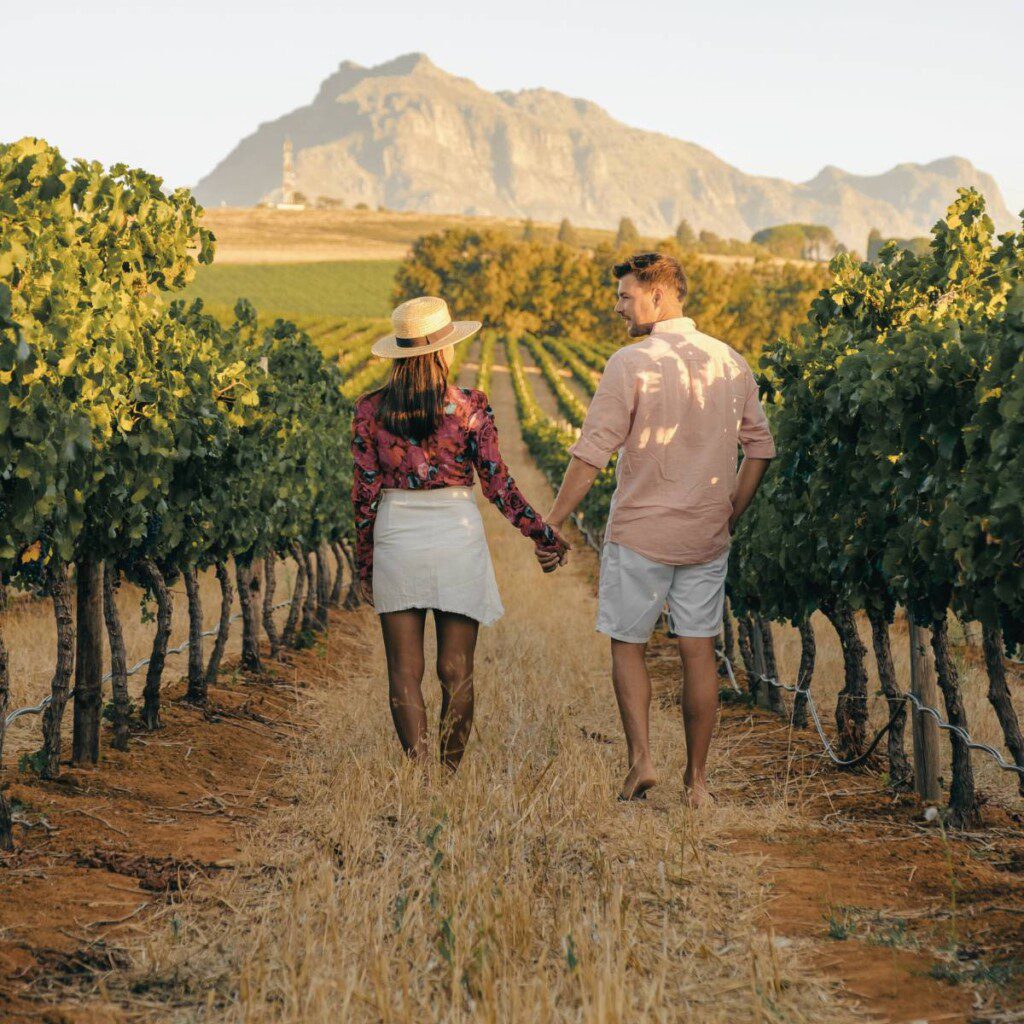 Couple holding hands while walking through a vineyard in South Africa.