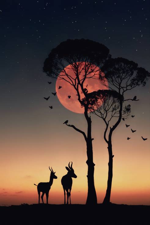 4x4 hire in South Africa at sunset with antelopes and trees silhouetted against a red moon.