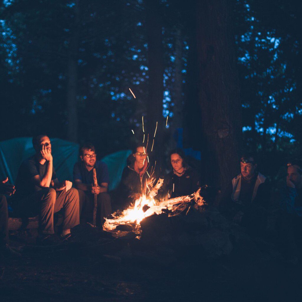 A group gathered around a campfire in Botswana, sharing stories under a starlit sky.