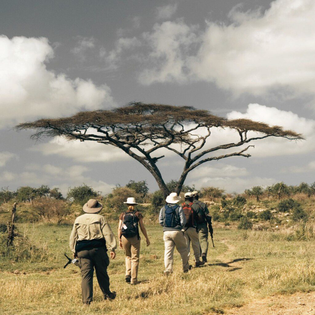 A group of adventurers on a walking safari in the Okavango Delta.